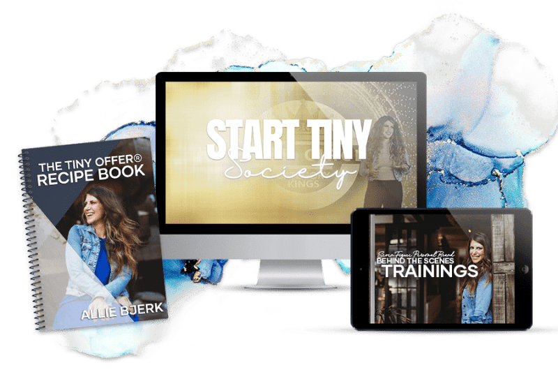 allie bjerk 90 day start tiny society bundle 6525aa293e0cc