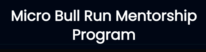 brendan viehman micro bull run mentorship program autumn 2023 6565c1bcbb6f9