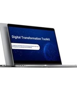 Domont Consulting – Digital Transformation Toolkit