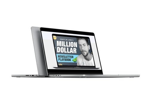 scott delong the million dollar newsletter playbook 660298a823161