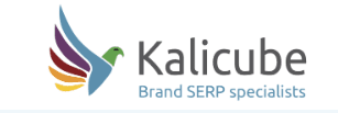jason barnard brand serp course 6698e8751c110