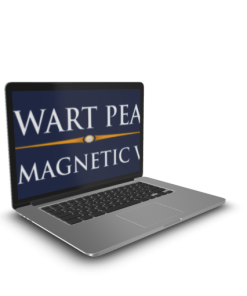 Stewart Pearce – The Magnetic Voice