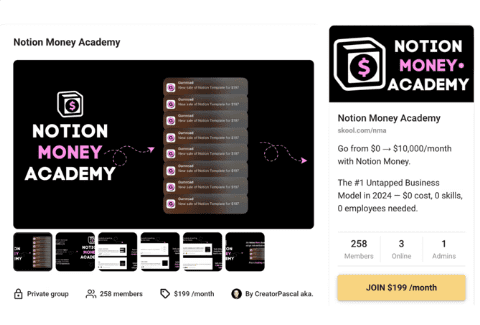 creator pascal notion money academy 67d51056c5429